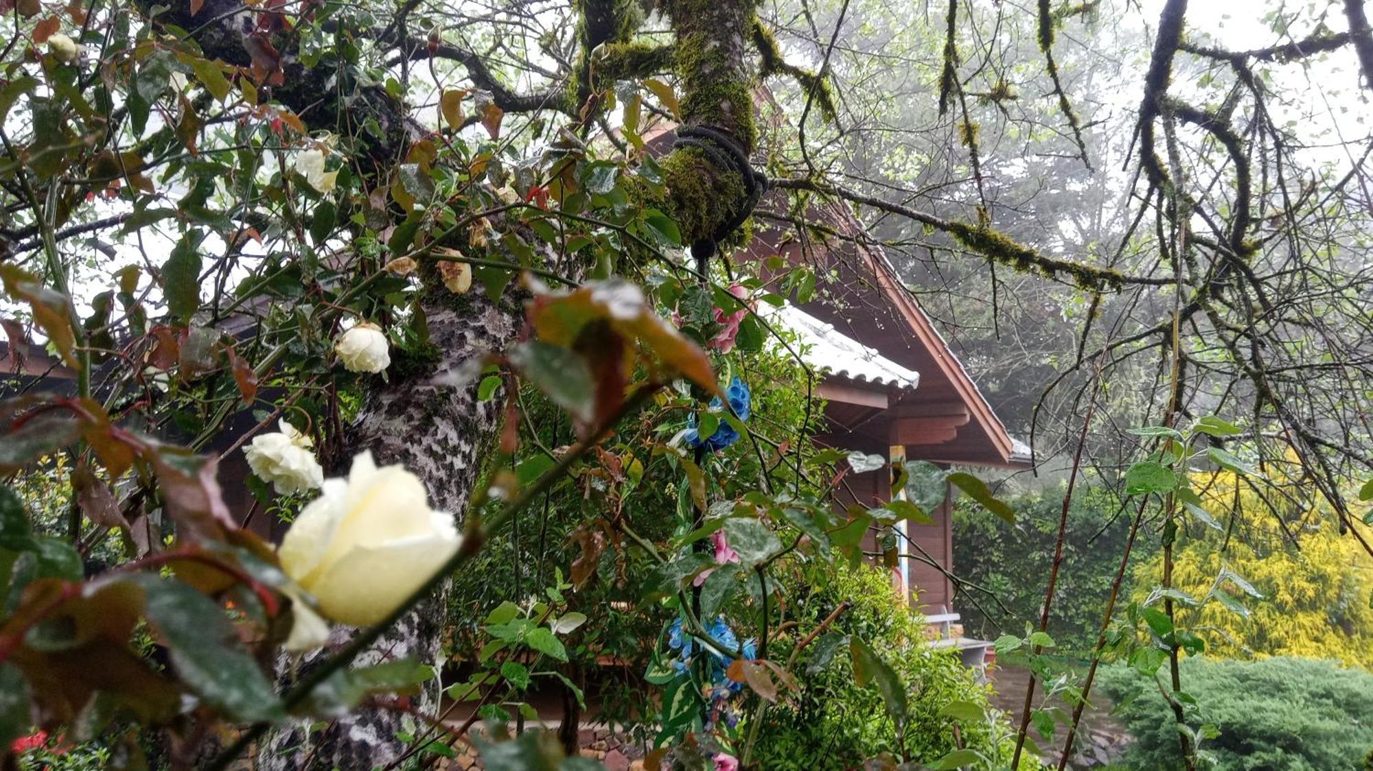 Chalé Martinho Gramado Extérieur photo